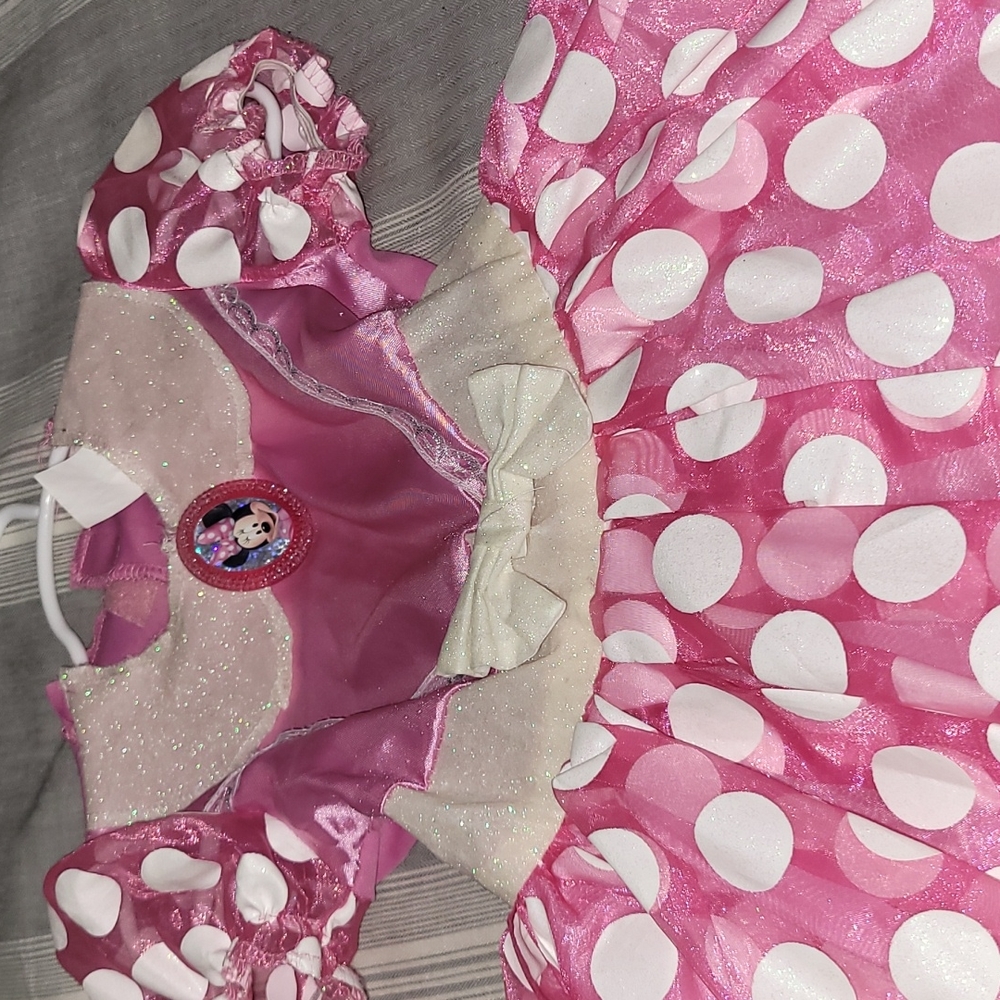 Minnie Mouse Costume